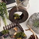 식물공예 | 서울 발포세라믹 공예 도우아트지도사 자격증 수업후기 출강안내