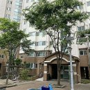 대구관문초등학교 이미지