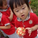 리틀영재어린이집 이미지