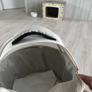 로와헤어 | 브리티시숏헤어 고양이 이동장 후기, 고양이 스트레스를 줄여주는 구조가 중요했던 이유