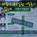 🚲 서울시민의 발, 따릉이 180일 정액권 후기｜타보니 정말 편하네요!
