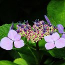 침묵(Silence 이미지