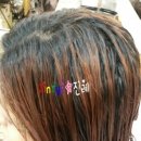 진례미용실 이미지