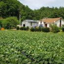 은총농장 이미지