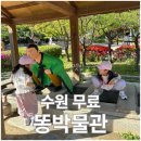 나야나 교육 박물관 | [수원] 무료 실내 가볼만한 곳ㅣ해우재 똥박물관 후기 (8살,6살)