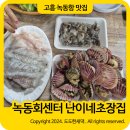 녹동앞바다 | 고흥 녹동항 맛집 녹동 회센터 횟감 구매 후 난이네초장집 상차림 이용후기