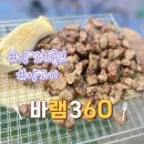 캠핑요리로 딱 좋은 [바램360] 양꼬치큐브 집에서 먹기도 간편하게 양고기 먹기 가능!