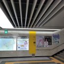 고양이별 캣 카페 | 서울 강서구 고양이별캣카페 방문후기