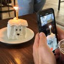 카페네이비 이미지