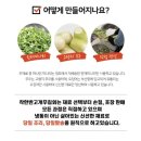 착한반고개무침회 | 반고개무침회 중독되는 맛! 착한반고개무침회 솔직 후기