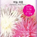 공주과일