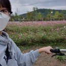 난지빗물펌프장 이미지