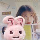 2025 아이유 공식 생일 카페 후기