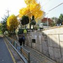 안곡로 22 이미지