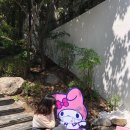 신촌상회