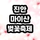진안 마이산 벚꽃축제 후기 남깁니다~~!! 이미지