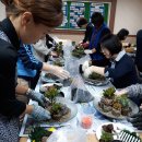 원예힐링교실 이미지