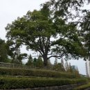 청명고삼거리 이미지