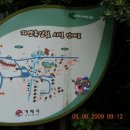 명사 해상콘도 Daum카페