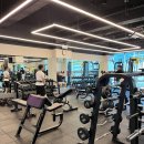 테리온 휘트니스 | 테리온 휘트니스 당산점 운동 후기: 당산 최고의 헬스장 체험기