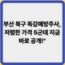 더편한소사요양병원 | 부산 북구 독감예방주사, 저렴한 가격 5군데 지금 바로 공개!"