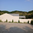 스테이 하냥 이미지