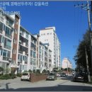 강릉경찰서(버스정류장) 이미지