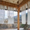 스테이퐁당 이미지