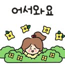 다민채