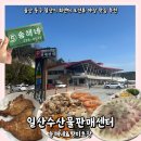 금호타이어 울산판매 | 울산 동구 일산지 회센터 오션뷰 야장 맛집 추천 : 일산수산물판매센터 송해네 &amp; 향미초장 후기