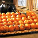 ㈜ 현농 이미지