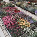 삼익농장 이미지