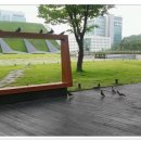 중앙도서관 #1 이미지