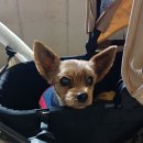 민FOOD | [베트남] 하노이 3박 4일 여행일기