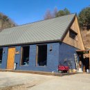 나는숲이다 이미지