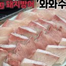 형산강횟집 이미지