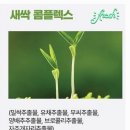 한단계 | "다이소 마데카21 TECA 솔루션 수딩크림 솔직 후기! 병풀보다 한 단계 진화한 진정 보습크림"