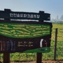 송도 달빛공원 인천송도파크골프장 이미지