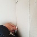 온양동물병원 이미지