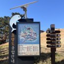 하마낚시터 | [사천 놀거리] 사천 아라마루 동물원 아쿠아리움 주차 입장료 가격 추천