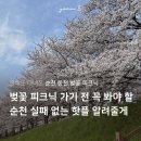 바로커치킨 | 순천 동천 개화 상황 벚꽃 피크닉 갔다가 들르기 좋은 핫플 모음.zip