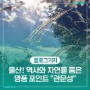 천광사 | 울산! 역사와 자연을 품은 명품 포인트 &#34; 관문성&#34;