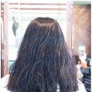 세종미용실 새봄헤어 다정점, 솔직 후기! 머리 손질 진짜 편해졌어요
