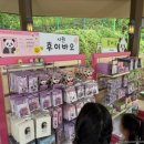 오토월드 | 추석 연휴 용인 에버랜드 방문기 | 판다 세컨하우스 후기 + 케이팝 데몬 헌터스 열기