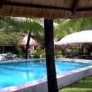 파라다이스가든 이미지