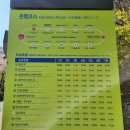 큰골작은도서관 | 대구 앞산 등산코스 추천 앞산케이블카-앞산정상 (앞산 큰골안내소코스)
