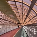 철판찜비안 이미지