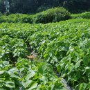 (주)호성 이미지