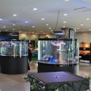 올레파크 이미지