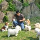 박순호의 아이슬란드 이미지